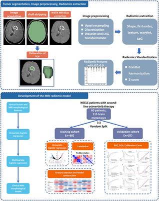 Enhancing intracranial efficacy prediction of osimertinib in non-small cell lung cancer: a novel approach through brain MRI radiomics